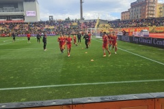 Catanzaro-Cesena2
